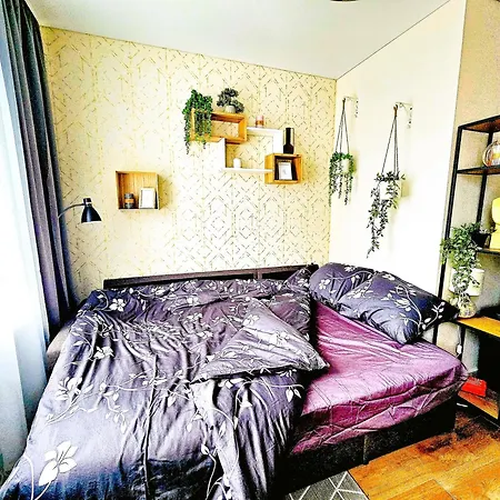 Cofy Rentals - Near-Centrally Located, Quiet District, Air-Conditioning, Free Parking, 24-7 Express Check-In-Out, Close To Nature, Everything You Need For Living! Tartu Room photo