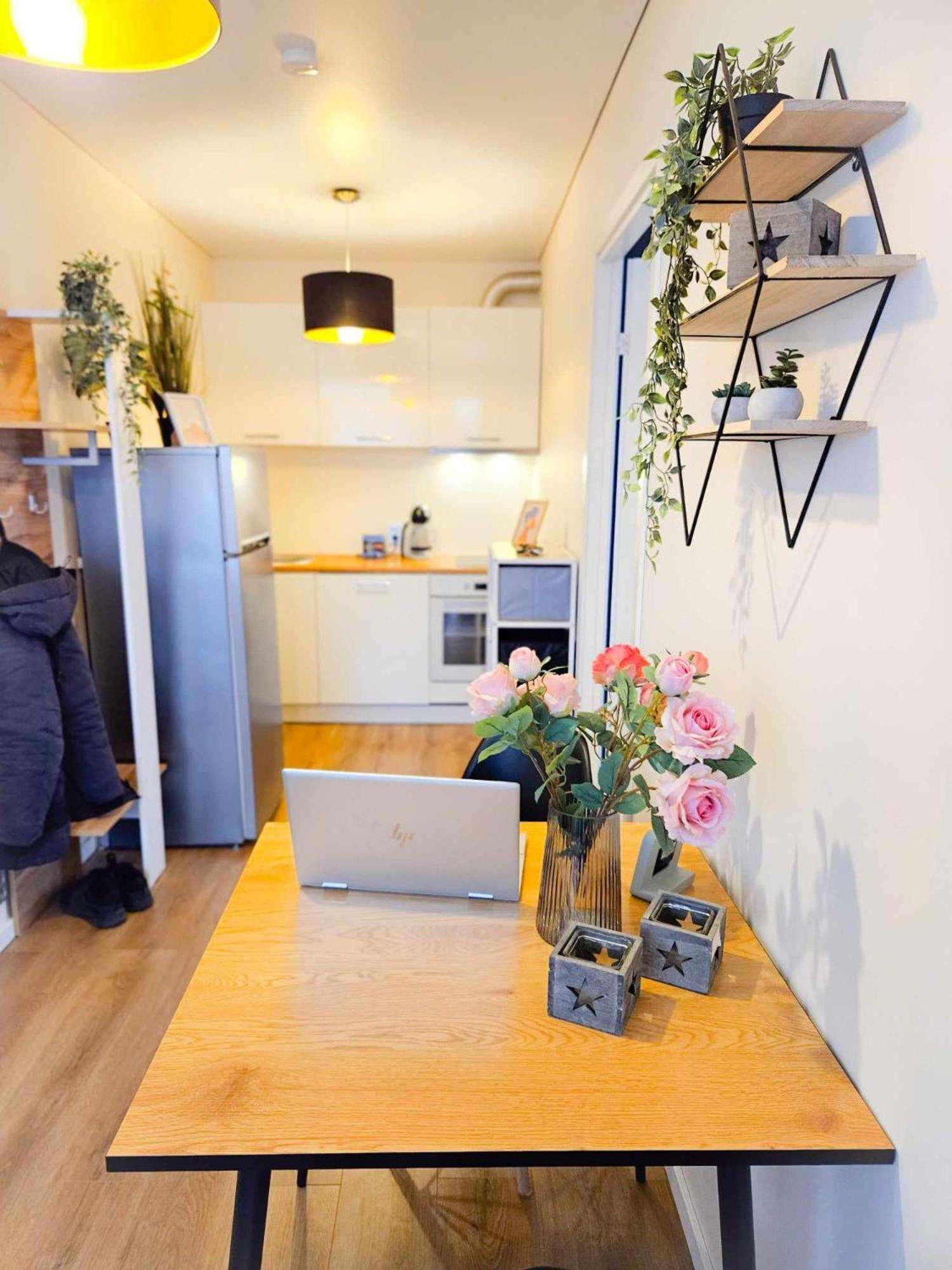 Cofy - Near-centrally Located, Quiet District, Air-conditioning, Free Parking, 24-7 Express Check-in-out, Close To Nature, Everything Need For Living! Tartu