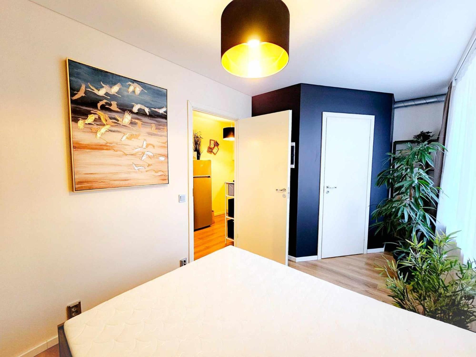 Apartment Cofy - Near-centrally Located, Quiet District, Air-conditioning, Free Parking, 24-7 Express Check-in-out, Close To Nature, Everything Need For Living! Tartu