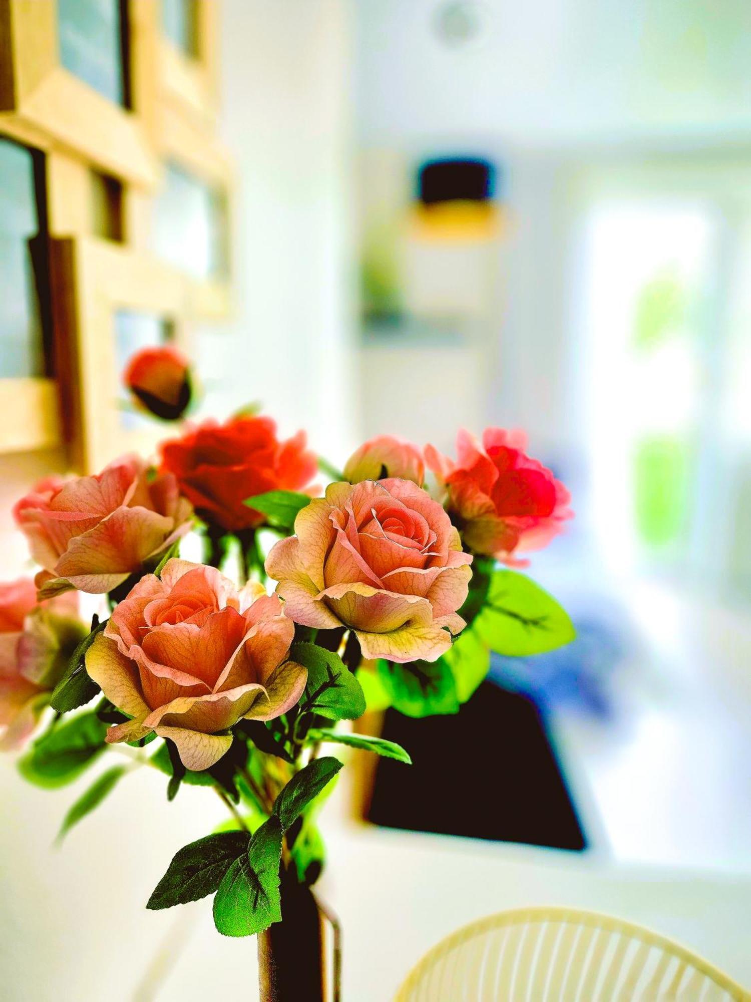 Apartment Cofy - Near-centrally Located, Quiet District, Air-conditioning, Free Parking, 24-7 Express Check-in-out, Close To Nature, Everything Need For Living! Tartu