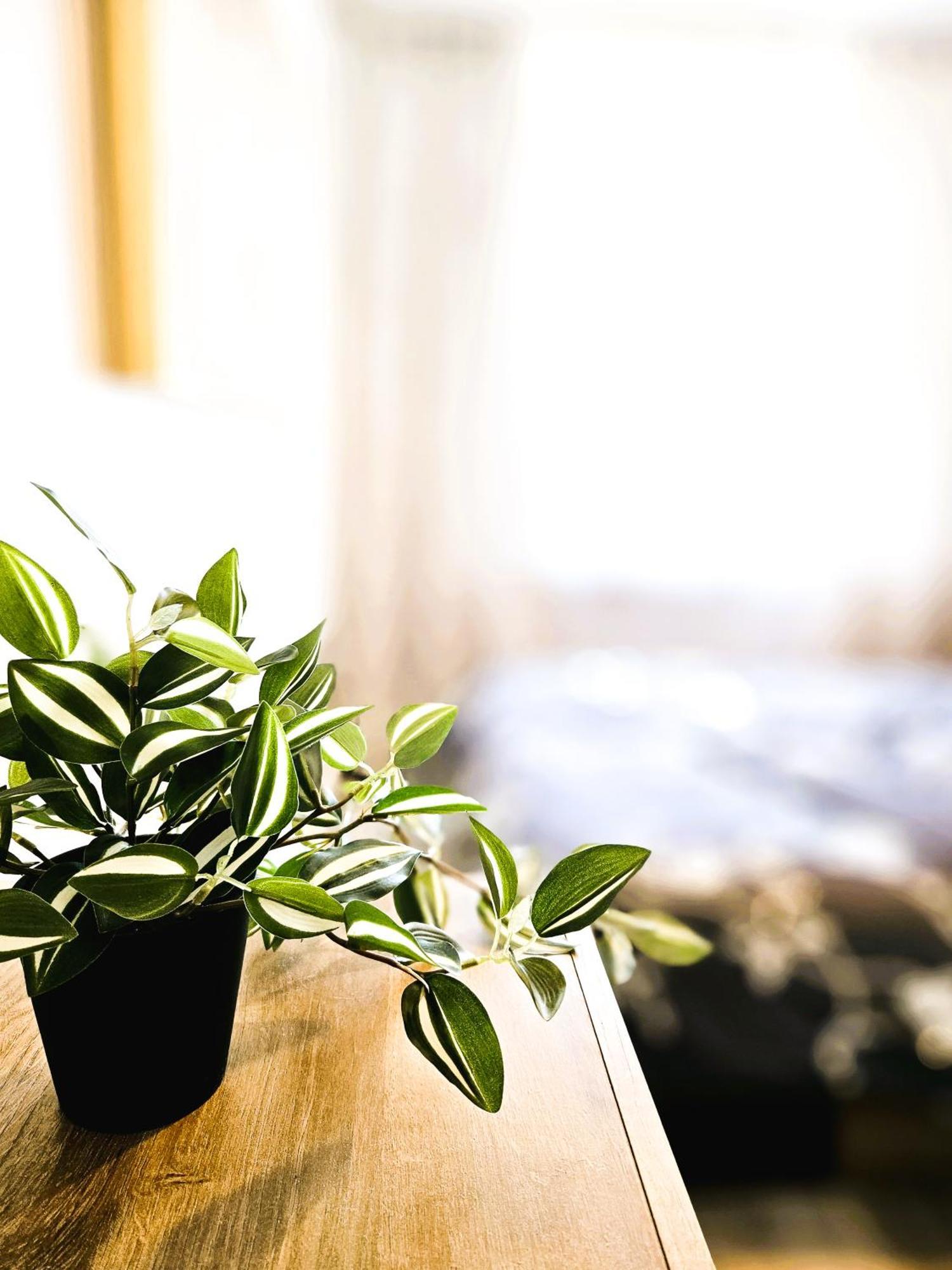 Cofy - Near-centrally Located, Quiet District, Air-conditioning, Free Parking, 24-7 Express Check-in-out, Close To Nature, Everything Need For Living! Tartu