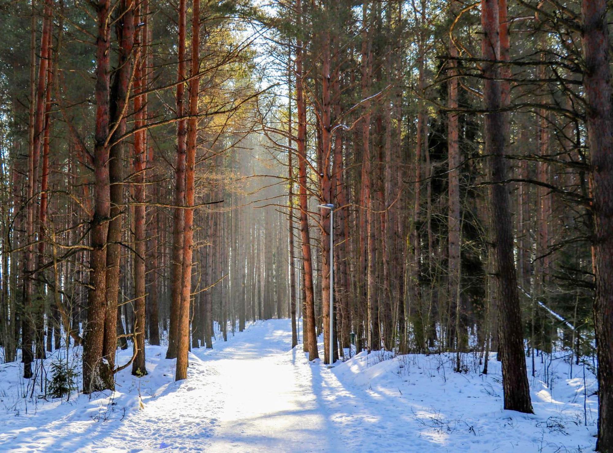 Apartment Cofy - Near-centrally Located, Quiet District, Air-conditioning, Free Parking, 24-7 Express Check-in-out, Close To Nature, Everything Need For Living! Tartu