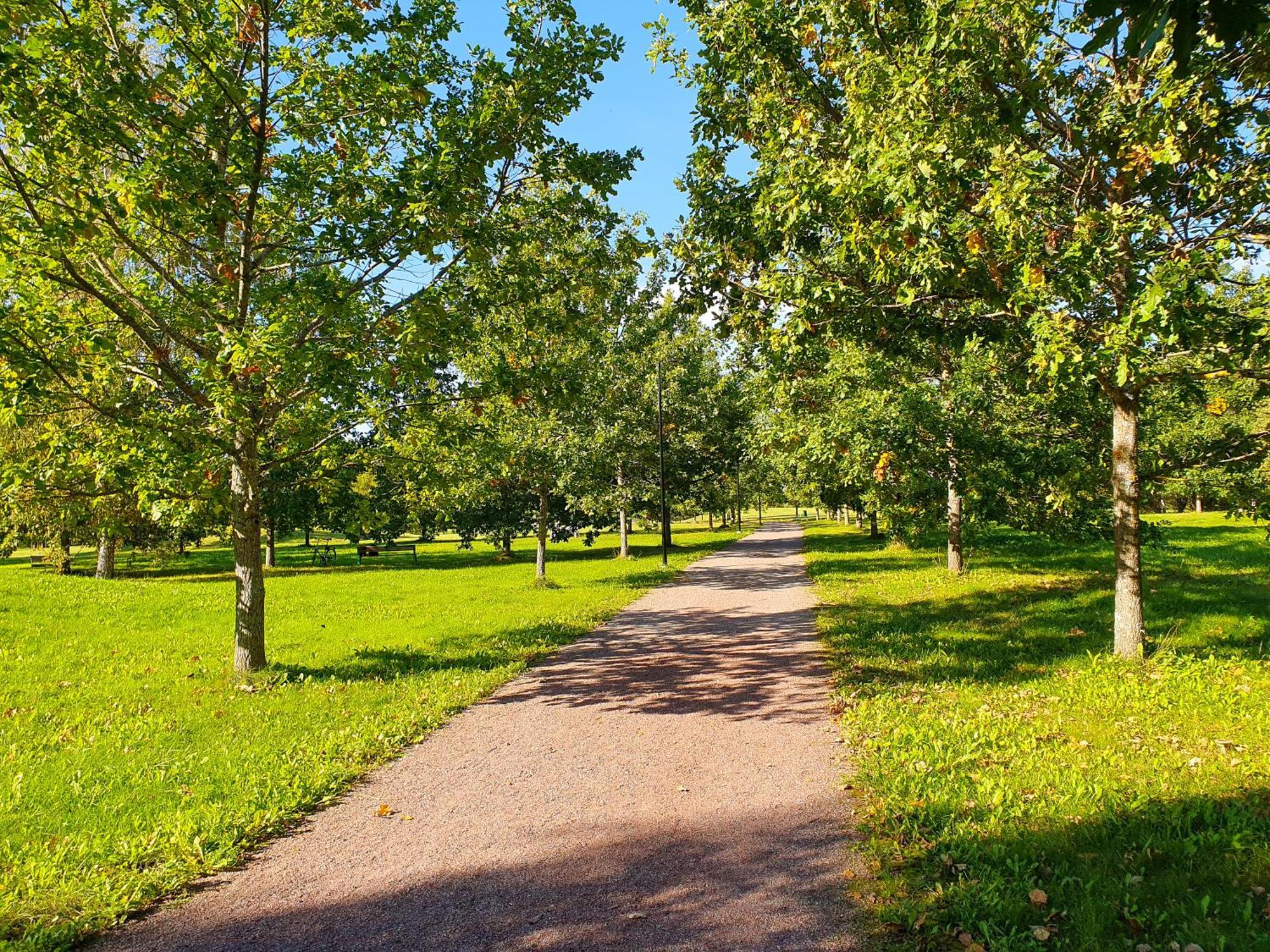 Cofy - Near-centrally Located, Quiet District, Air-conditioning, Free Parking, 24-7 Express Check-in-out, Close To Nature, Everything Need For Living! Tartu