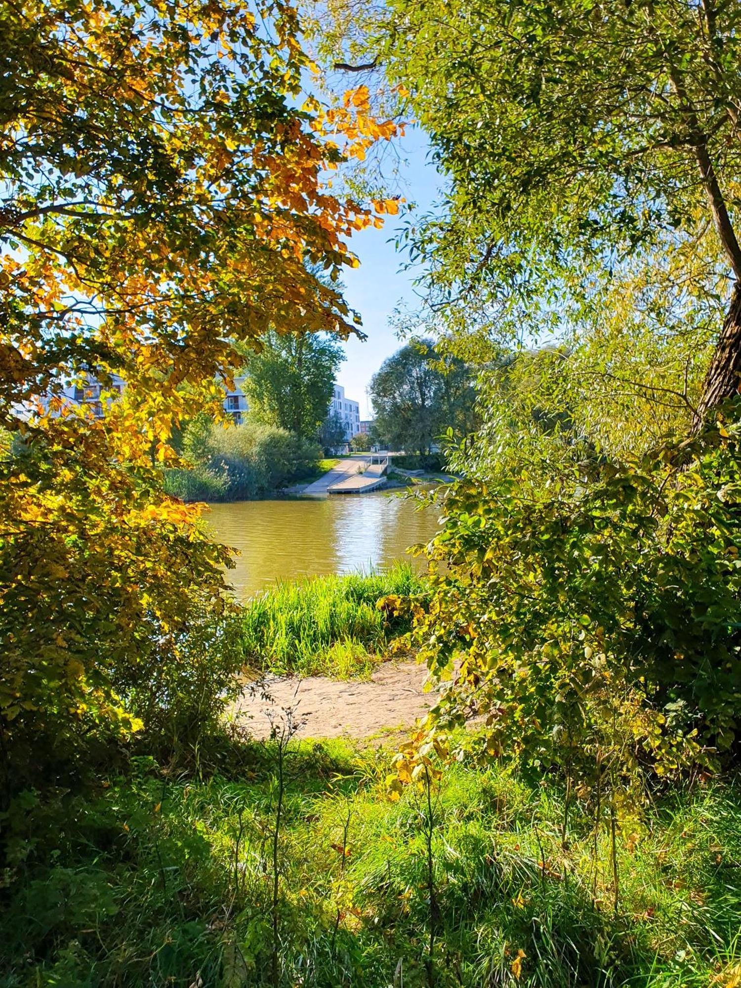 Cofy - Near-centrally Located, Quiet District, Air-conditioning, Free Parking, 24-7 Express Check-in-out, Close To Nature, Everything Need For Living! * Tartu